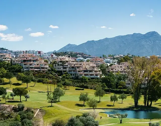 Marbella reviews