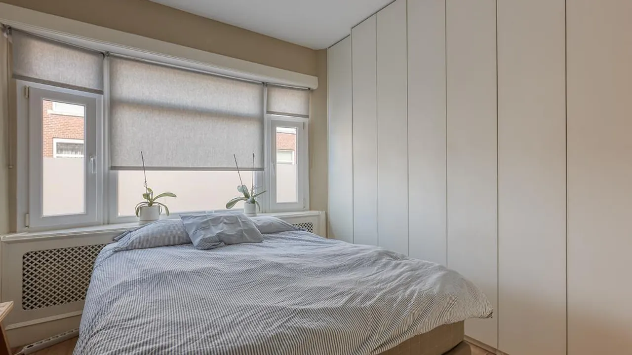 listing-eb29e709-45cc-43c7-b347-04a130300dbc-222879129.jpg