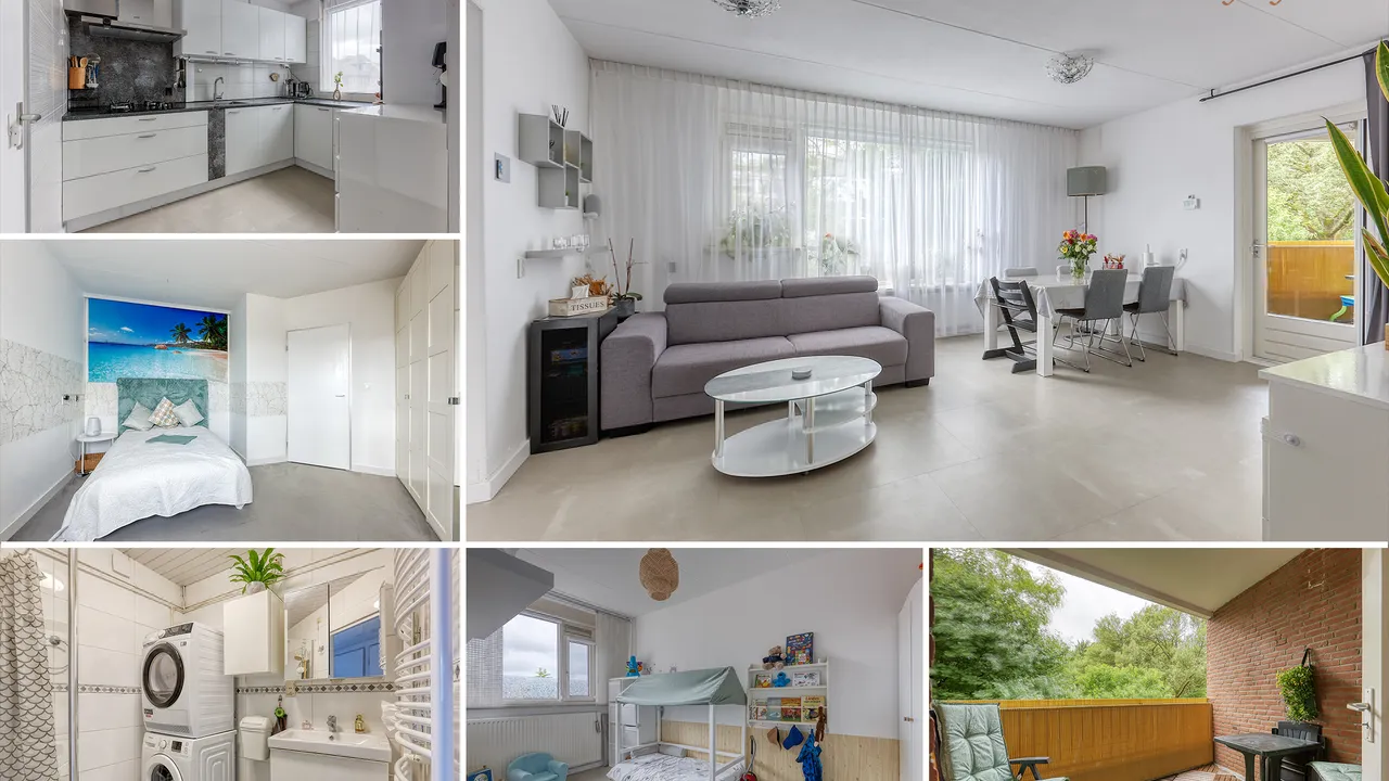 listing-bd9e5ca8-7dcc-41b8-b998-077a88a12dda-232619564.jpg