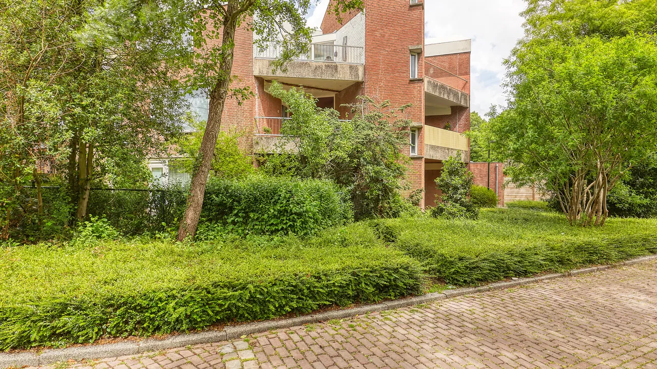 listing-67e51d11-bd36-4017-9270-420e414c0b13-232619488.jpg