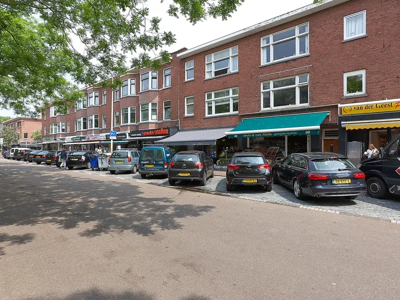 Benoordenhout