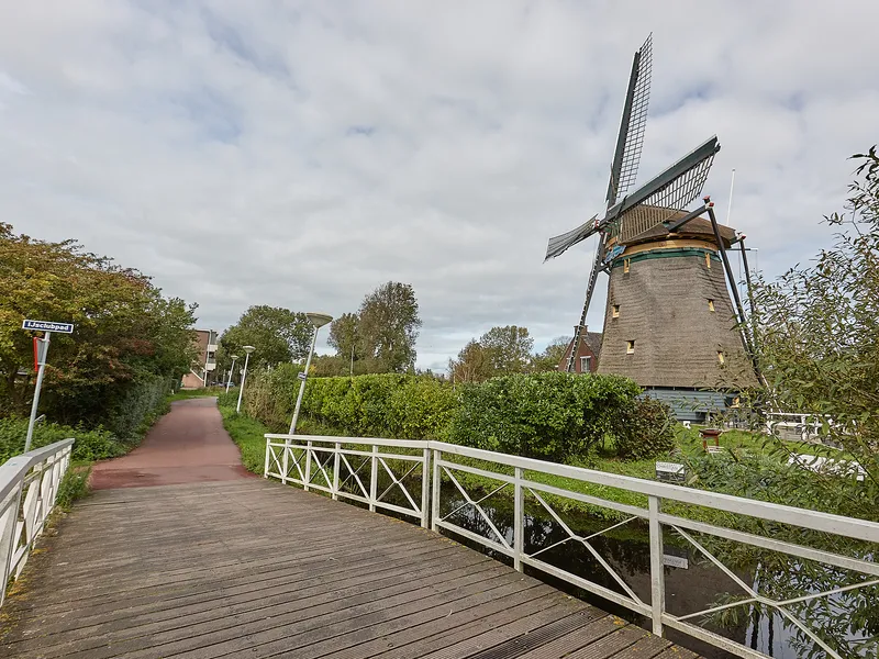 Bezuidenhout