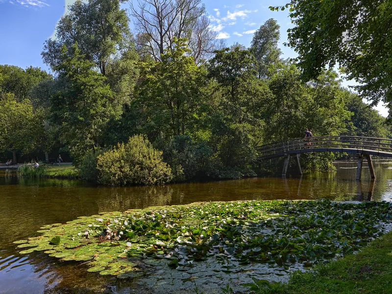 Bezuidenhout