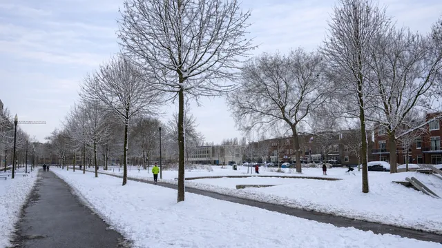 Foto 17 van Leerparkpromenade 369