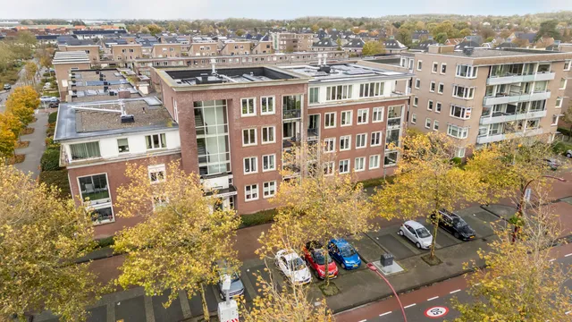 Foto 41 van de Ruy 98