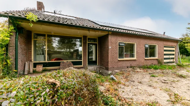 Foto 12 van Berkenrijs 14