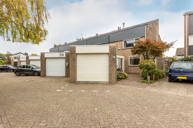 Foto 1 van Pijlkruid 19