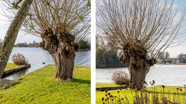 Foto 52 van Nieuwenbroeksedijk 4a