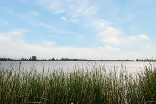 Foto 4 van Landtong tussen Klein Elfhoeven en Vrijhoef 0ong