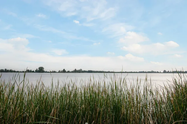 Foto 4 van Landtong tussen Klein Elfhoeven en Vrijhoef 0ong