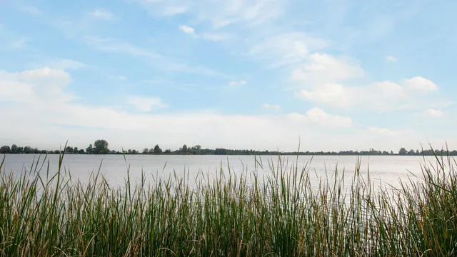 Foto 4 van Landtong tussen Klein Elfhoeven en Vrijhoef 0ong