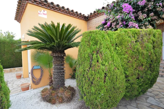 Foto 4 van Carrer de Teresa Wilms Montt 13