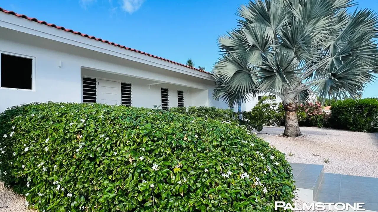 listing-f803cd38-e55f-487a-8e0a-fd7d9506eff1-210708585.jpg
