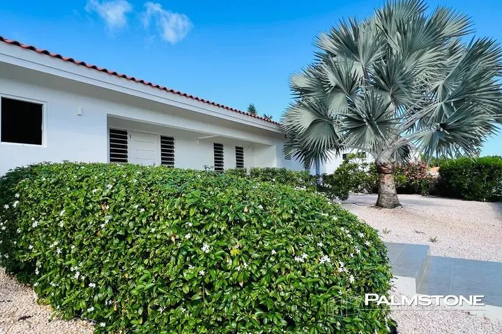 listing-f803cd38-e55f-487a-8e0a-fd7d9506eff1-210708585.jpg