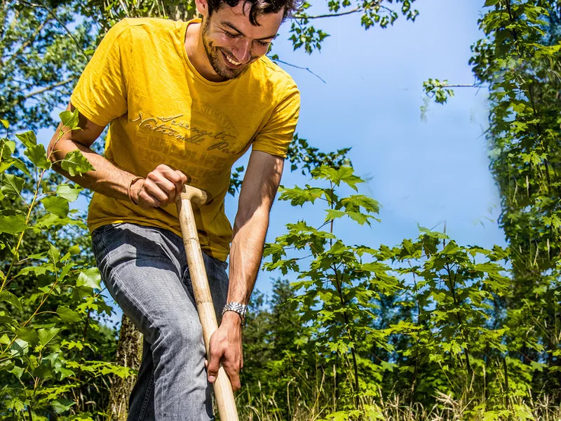 Trees for All