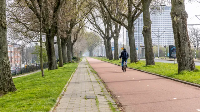 Foto 40 van Schiedamseweg Beneden 547A