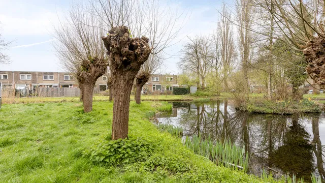 Foto 31 van Ida Hoeve 37