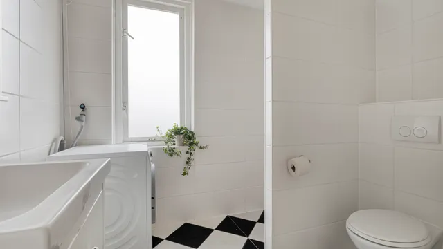 Foto 4 van Pluutwerf 32
