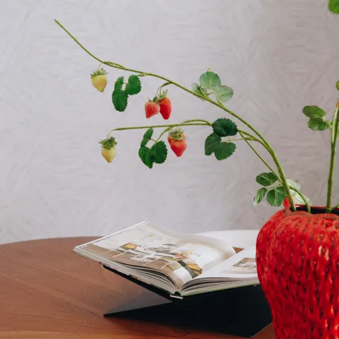 Stijlvolle tafel met open woonmagazine en decoratieve aardbeiplant in een rood designvaasje