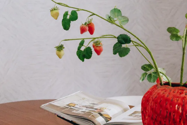 Stijlvolle tafel met open woonmagazine en decoratieve aardbeiplant in een rood designvaasje