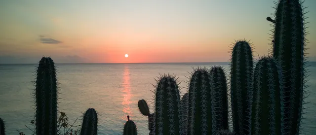 upload-68021c50d285039384daa110-01-akte-van-erfrecht-curacao.png