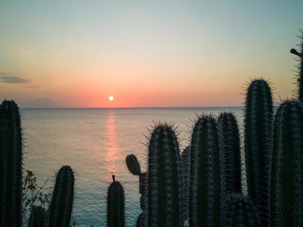 upload-68021c50d285039384daa110-01-akte-van-erfrecht-curacao.png