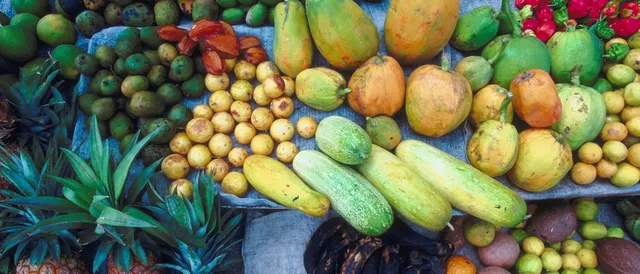 upload-67b5c07b69c476637419cb8f-01-erfpacht-eigendomsgrond-of-huurgrond-curacao.png