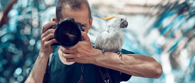fotograaf van huis op curacao met papegaai