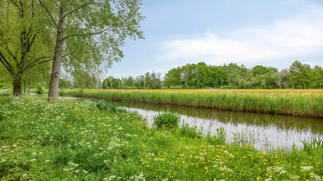 Foto 47 van Gandhiweg 27