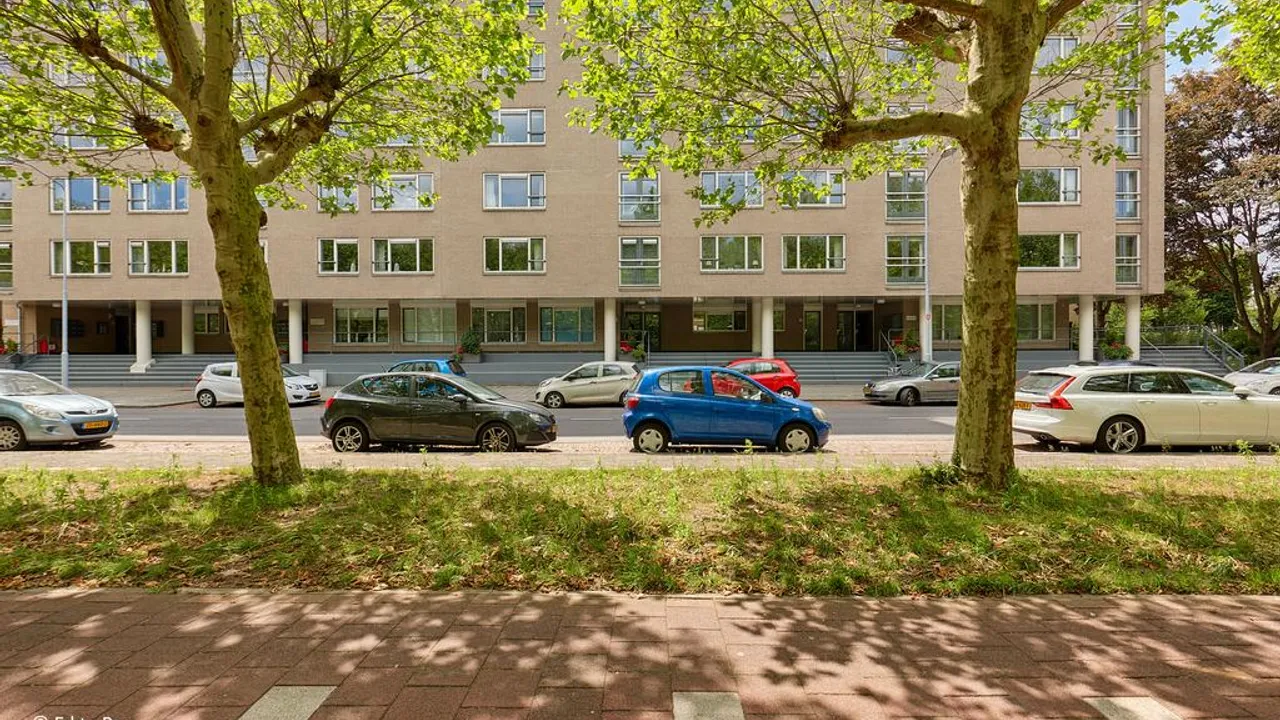 listing-b89cb9f9-c0c5-48e8-a1ff-b018944626cb-197889981.jpg