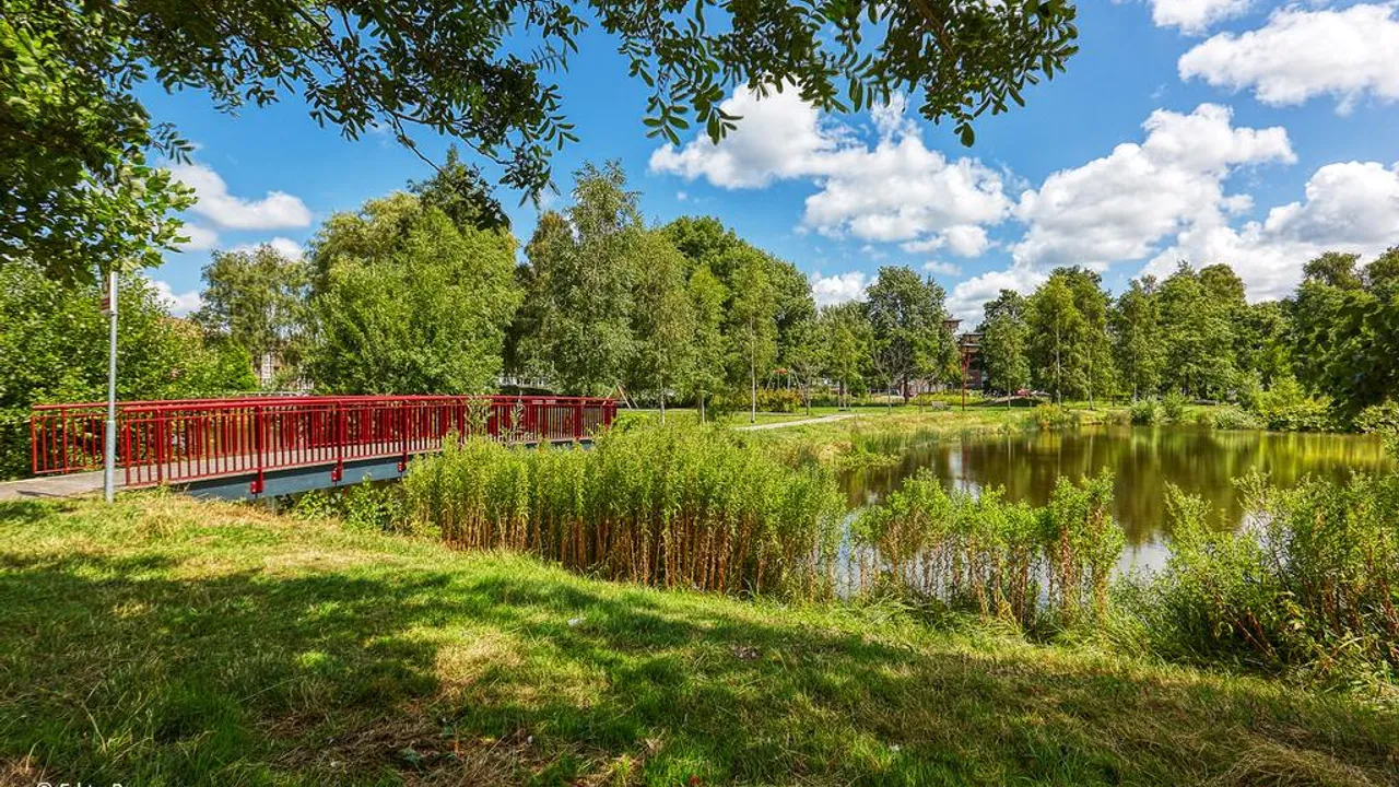 listing-abeb8037-4dcb-44c5-81b0-f93624ad0df6-197889995.jpg