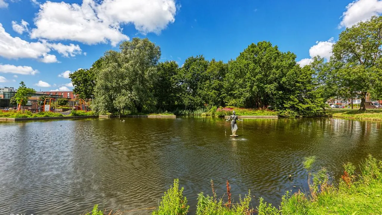 listing-cbe34c5c-21e8-4653-85e1-e5b06ff7a5cc-197890005.jpg