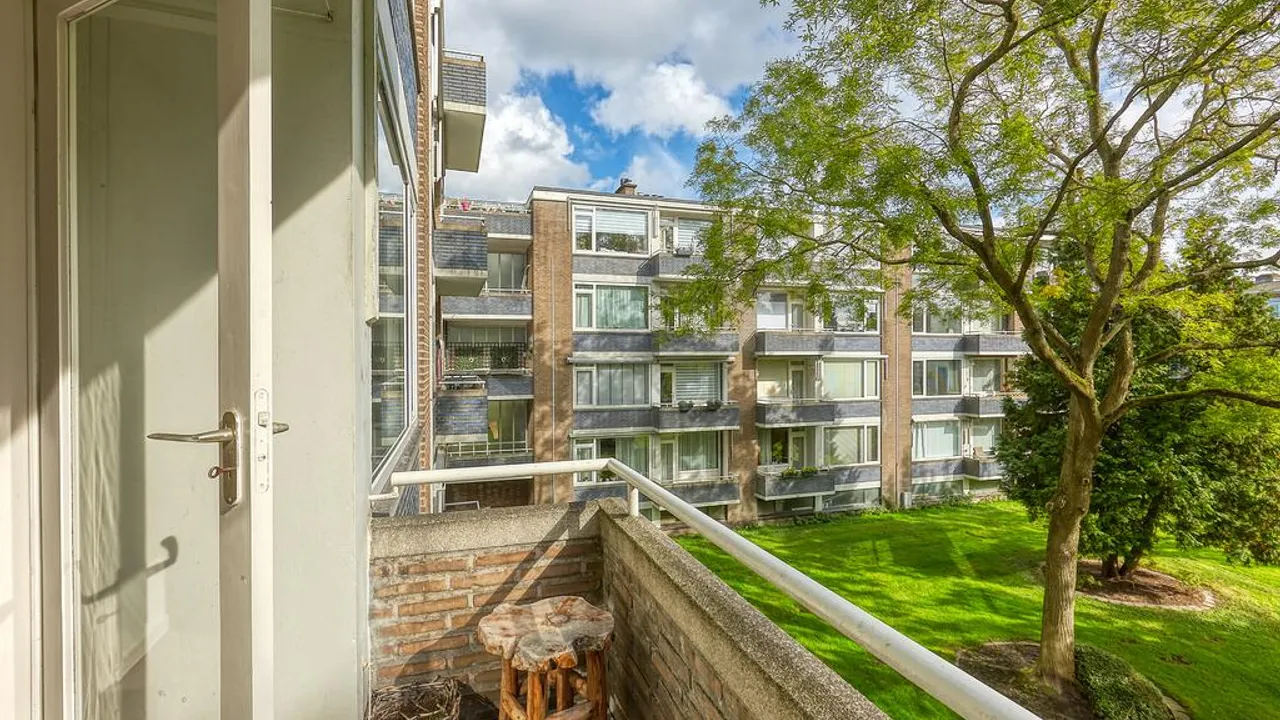 listing-346de32e-2fd4-4f9e-b4e4-e807849d6ea7-202357851.jpg