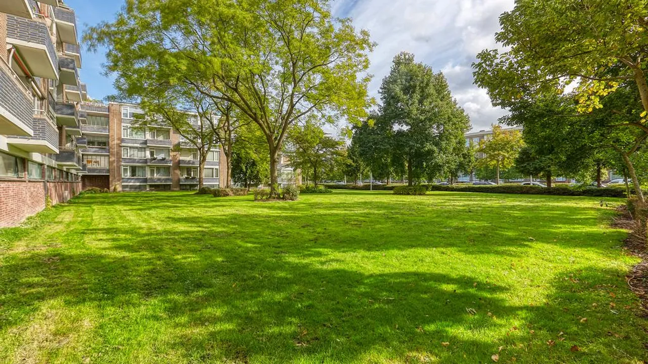 listing-71e06b52-1e8b-4e68-abd9-31d79050ec38-202357911.jpg
