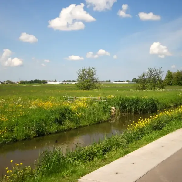 Kavel Lansingerland
