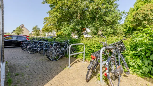 Foto 43 van Ir Leemansstraat 11