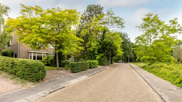 Foto 41 van Duinrand 4