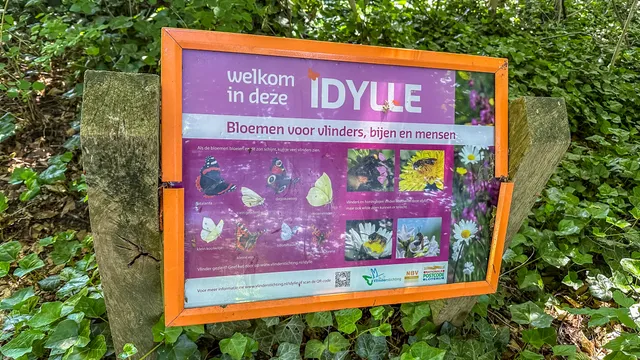 Foto 34 van Honte 12