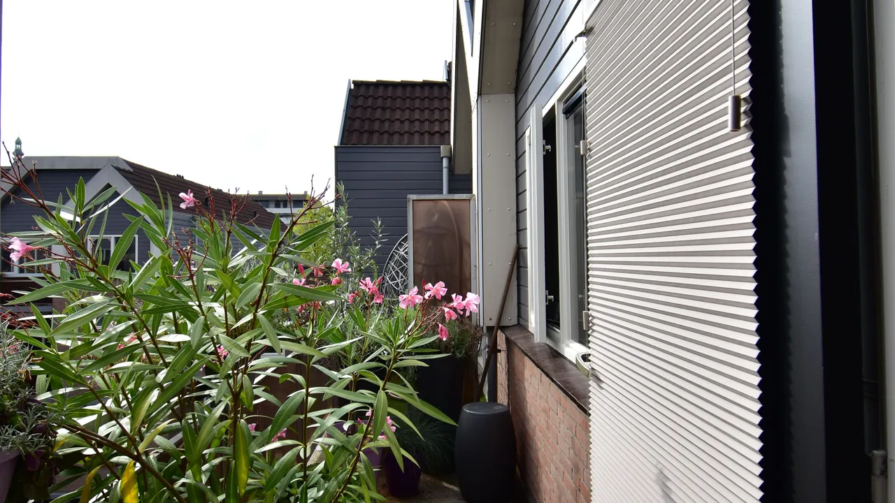 listing-94f6c2ba-9c15-4c79-adbc-1001304e5c8e-original.jpg
