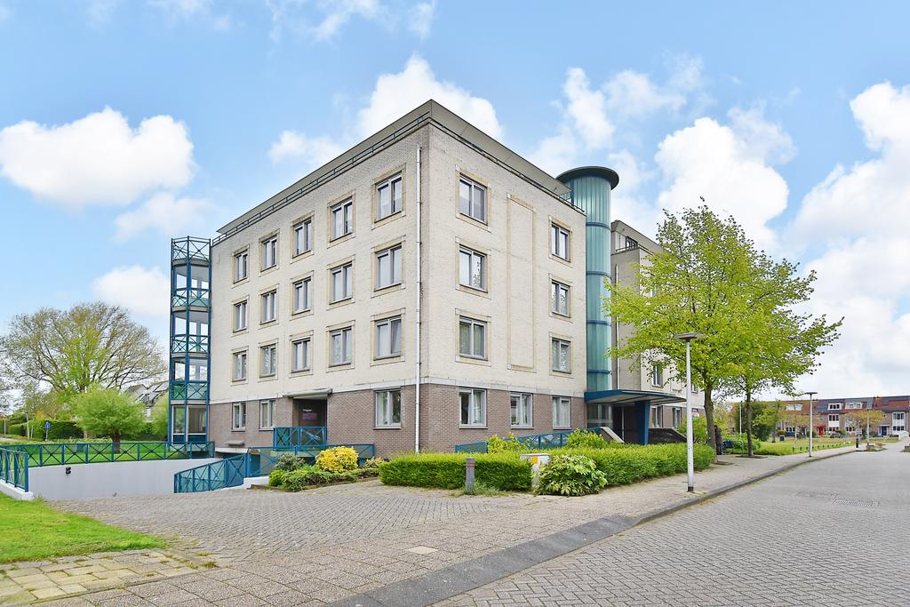 Foto 1 van Ridderspoor 36