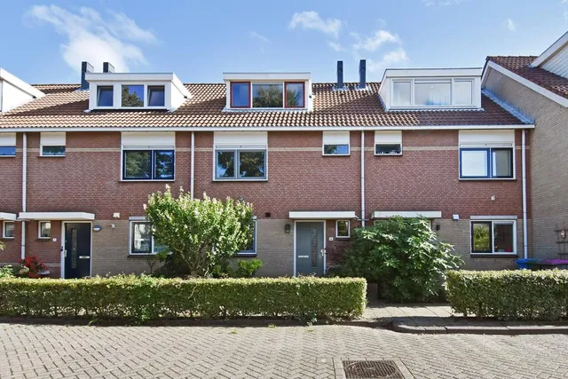 Foto 1 van Jeneverbes 14