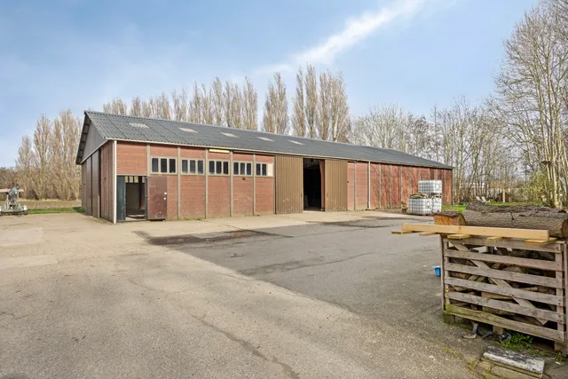 listing-b62ff1e0-f958-4422-a13b-e15f7cc94c5c-267519632.jpg