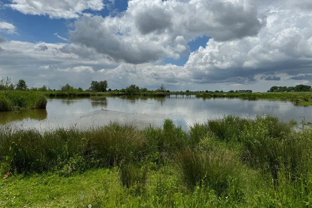 omgevingwater