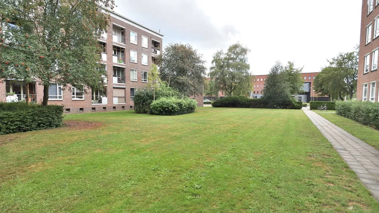 listing-43d83046-ed6f-45db-8276-5dfb041acb9a-original.jpg