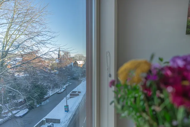 Foto 3 van Vette Knol 49