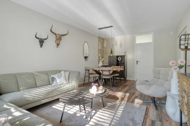 Foto 2 van Pollux 141