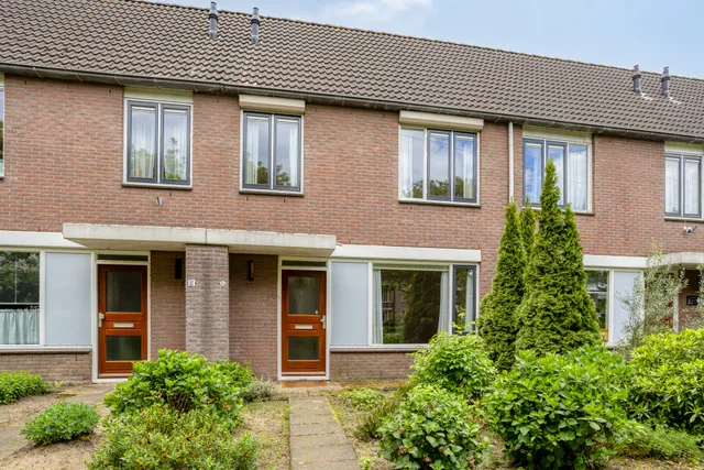 Foto 1 van Zebravink 13