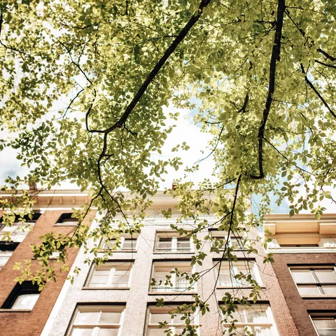 Exterieur van woning