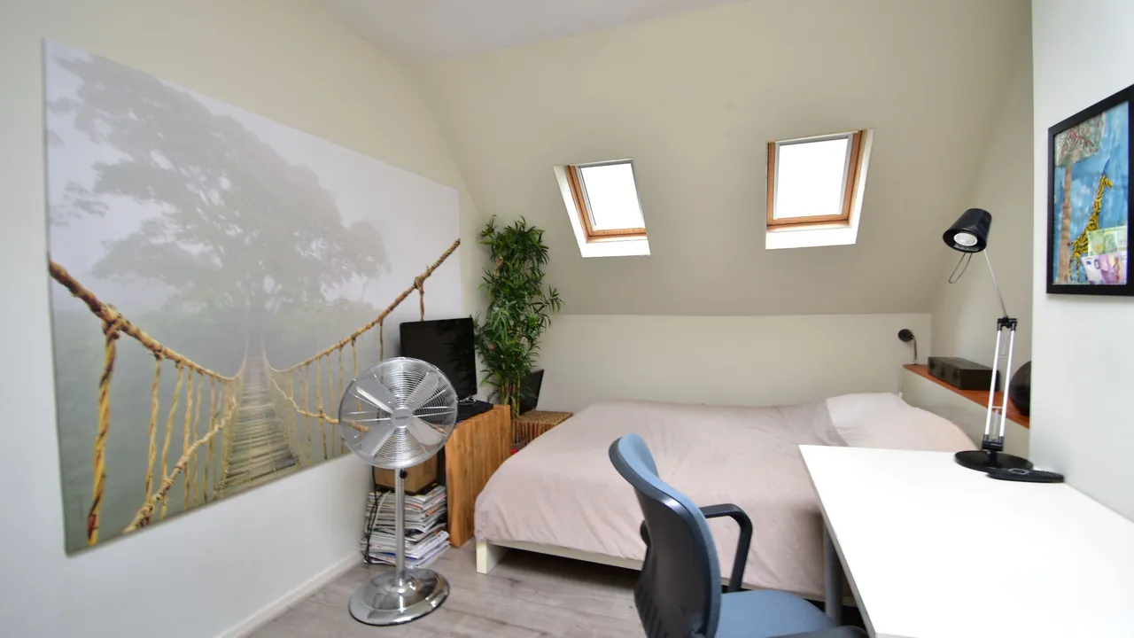 listing-4d708584-6df2-4318-817b-947e6d6ea2a7-original.jpg