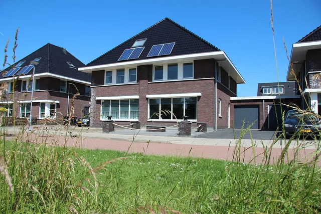 Foto 2 van Roerdomp 12